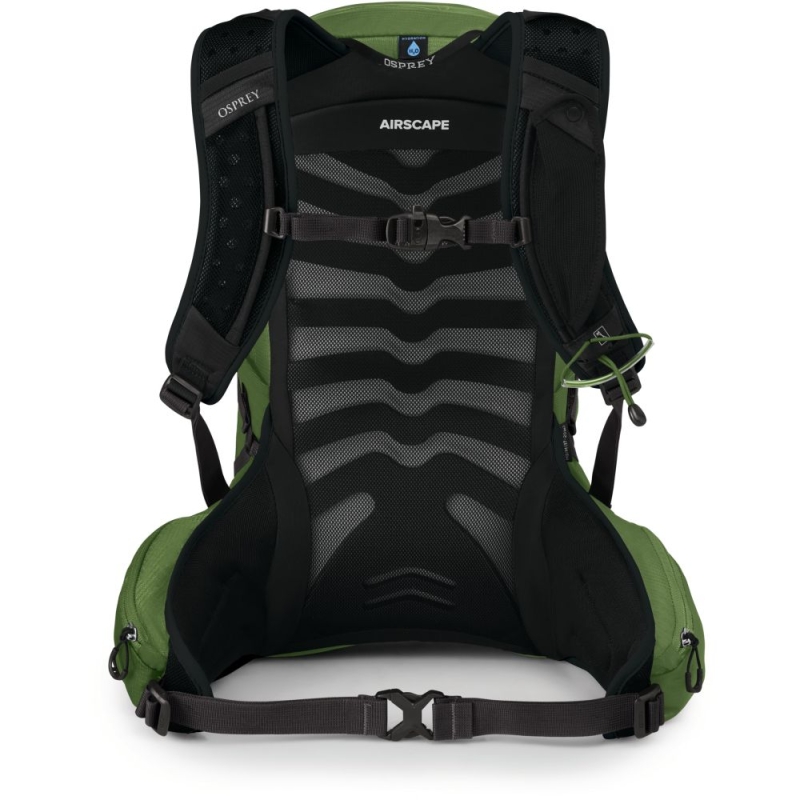 Osprey Talon 11 Green Belt/Black