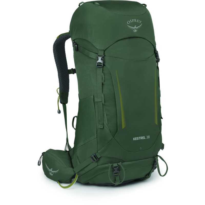 Osprey Kestrel 38 S/M Bonsai Green