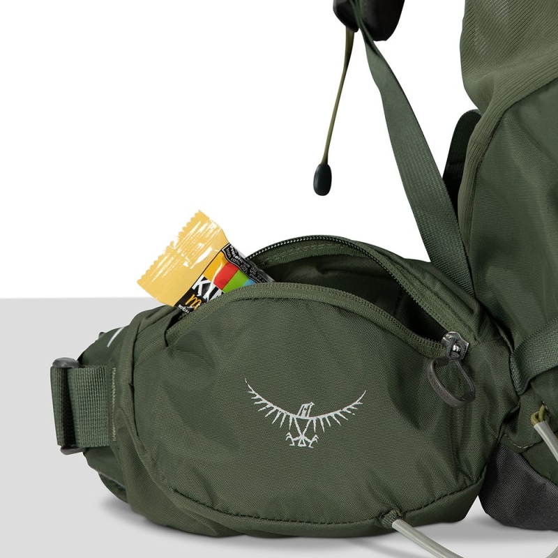 Osprey Kestrel 38 S/M Bonsai Green