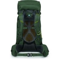 Osprey Kestrel 38 S/M Bonsai Green