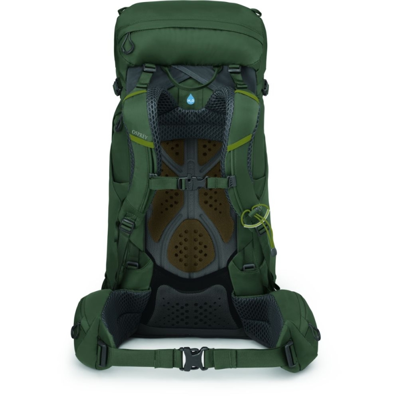 Osprey Kestrel 38 S/M Bonsai Green