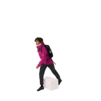 Arc'teryx Beta LT Jacket Women's Amaranthus/Edziza