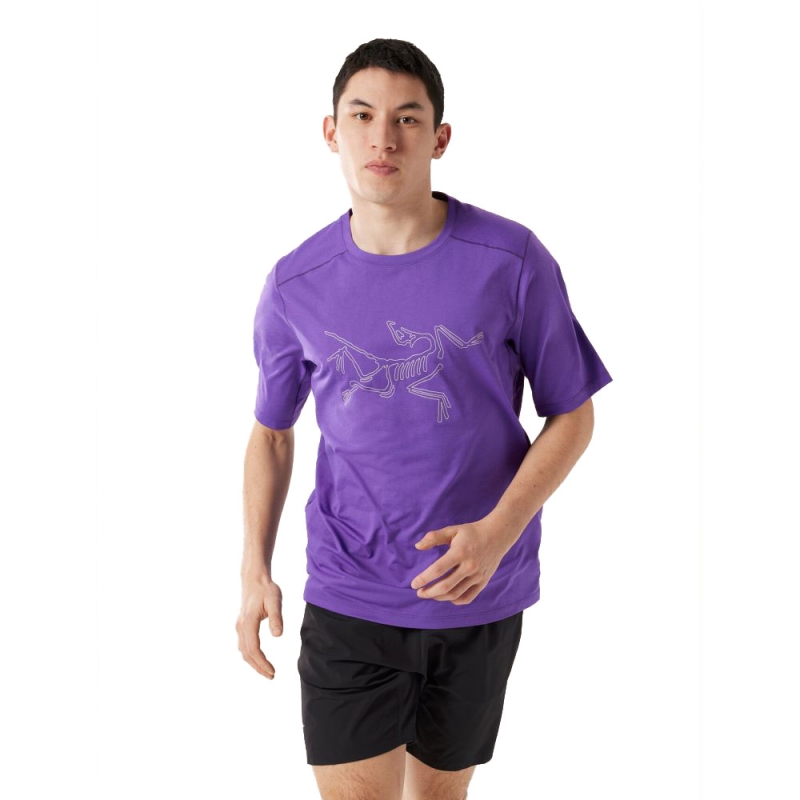 Arc'teryx Cormac Logo SS Iola Heather