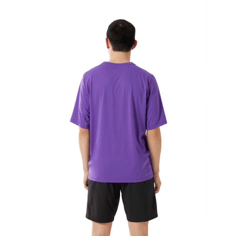 Arc'teryx Cormac Logo SS Iola Heather