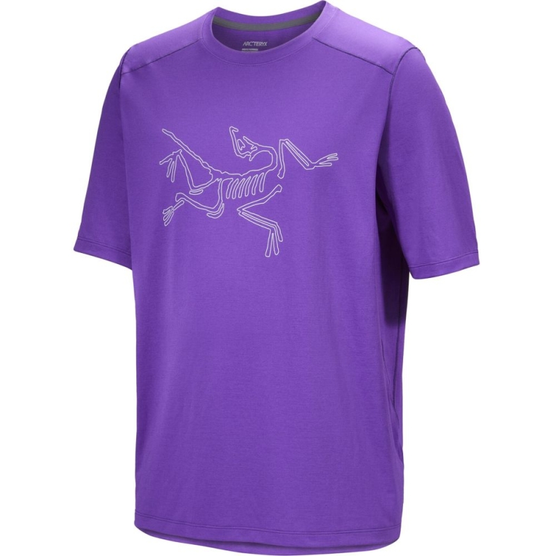 Arc'teryx Cormac Logo SS Iola Heather
