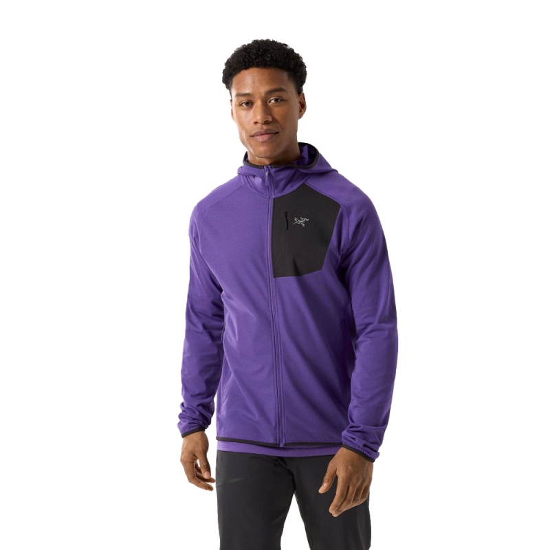 Arc'teryx Delta Hoody  Iola
