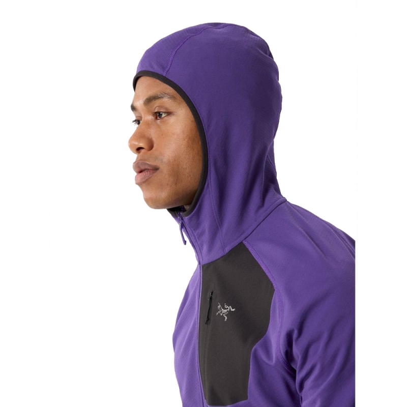 Arc'teryx Delta Hoody  Iola