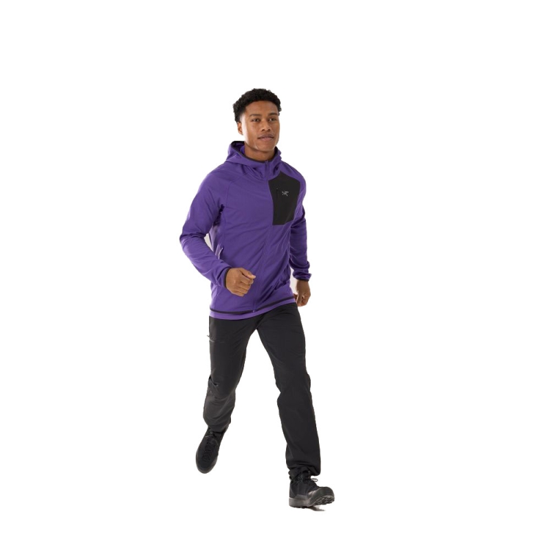 Arc'teryx Delta Hoody  Iola