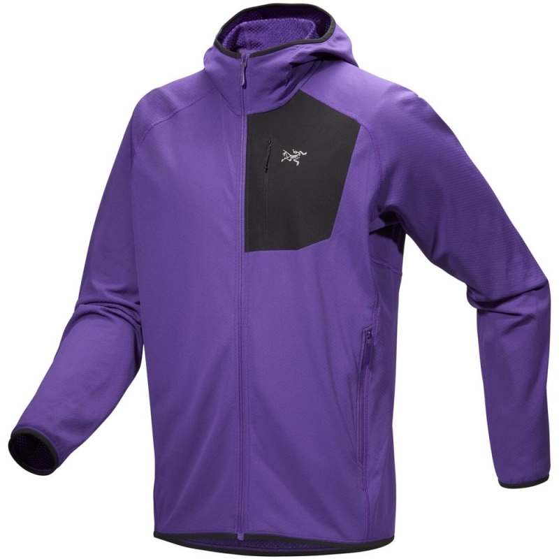 Arc'teryx Delta Hoody  Iola