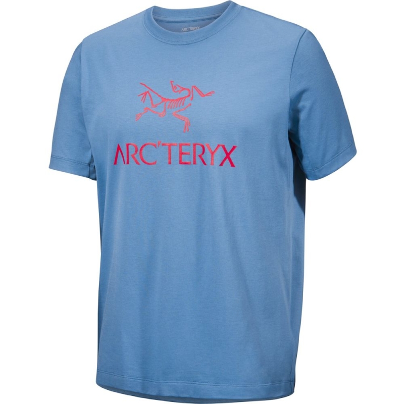 Arc'teryx Arc'Word Logo SS Stone Wash