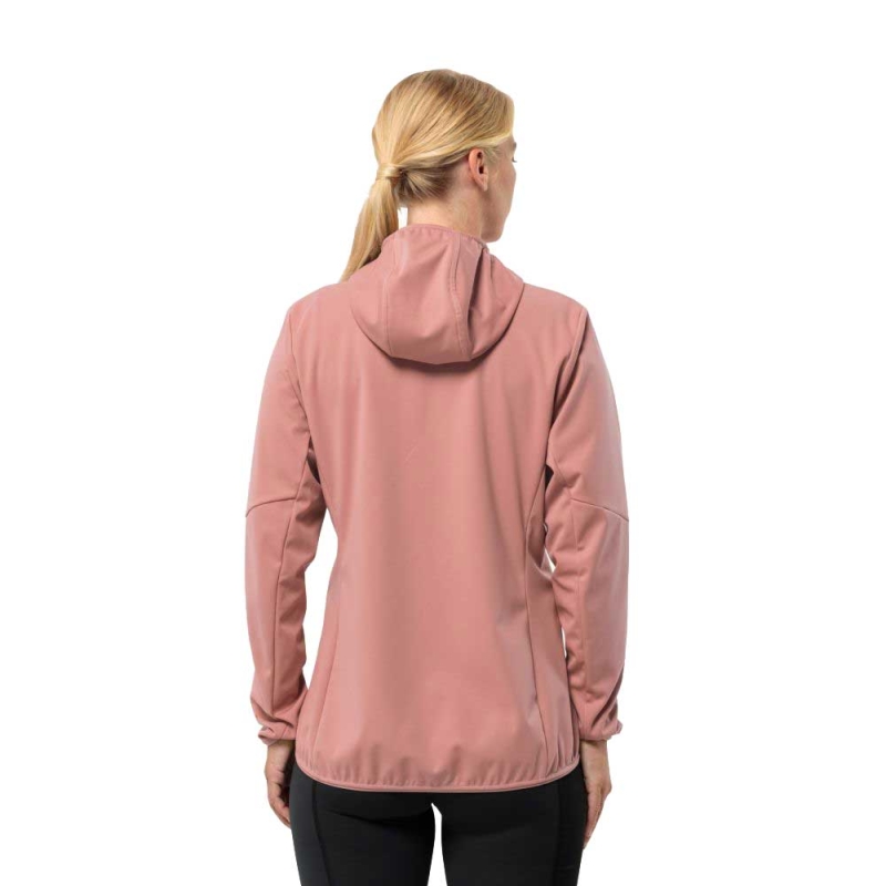 Jack Wolfskin Feldberg Hoody Women's rose dawn