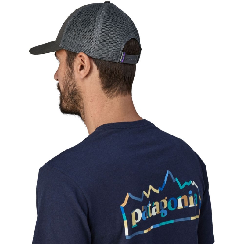 Patagonia P-6 Logo LoPro Trucker Hat Forge Grey