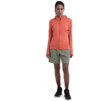 Icebreaker Merino 260 Quantum IV Women's Tang