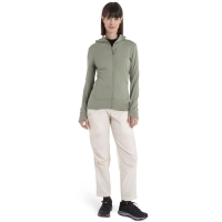 Icebreaker Merino 260 Quantum IV LS Zip Hood Women's Lichen