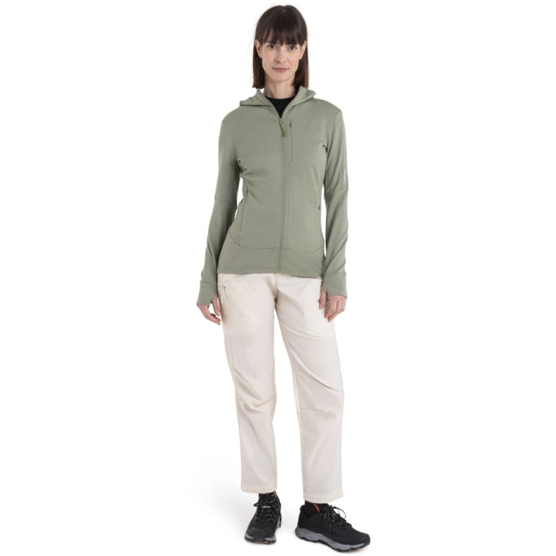 Icebreaker Merino 260 Quantum IV LS Zip Hood Women's Lichen