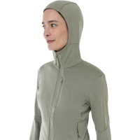 Icebreaker Merino 260 Quantum IV LS Zip Hood Women's Lichen