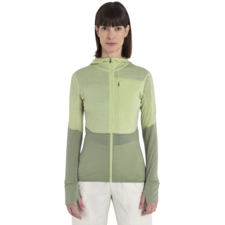 Icebreaker Merino 200 Realfleece Descender LS Zip Hood Women' Glazen/Lichen/Cb