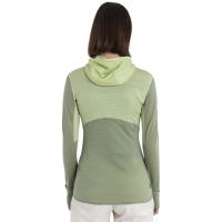 Icebreaker Merino 200 Realfleece Descender LS Zip Hood Women' Glazen/Lichen/Cb