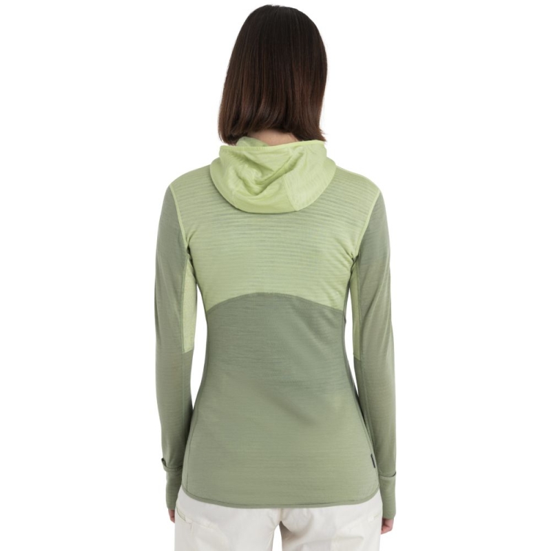 Icebreaker Merino 200 Realfleece Descender LS Zip Hood Women' Glazen/Lichen/Cb