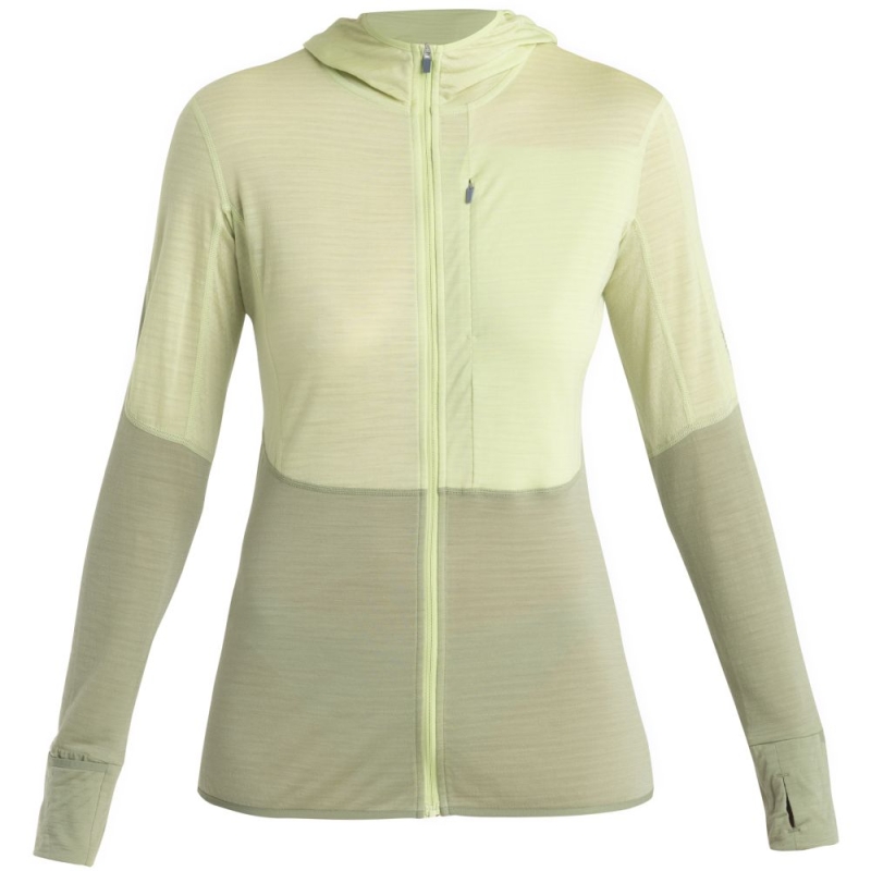 Icebreaker Merino 200 Realfleece Descender LS Zip Hood Women' Glazen/Lichen/Cb