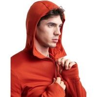 Icebreaker Merino 260 Quantum IV LS Zip Hoodie Molton