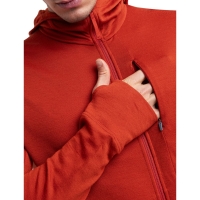 Icebreaker Merino 260 Quantum IV LS Zip Hoodie Molton