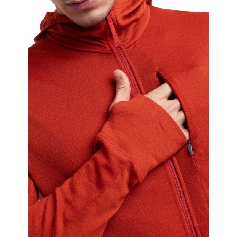 Icebreaker Merino 260 Quantum IV LS Zip Hoodie Molton