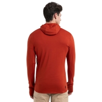 Icebreaker Merino 260 Quantum IV LS Zip Hoodie Molton