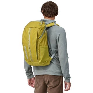 Patagonia Black Hole Pack 25L Shrub Green