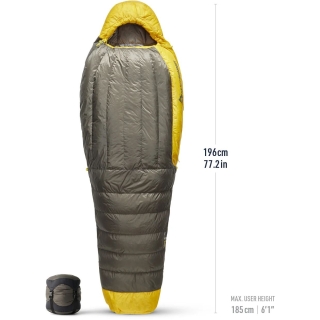 Sea to Summit Spark -1C Regular Beluga Black