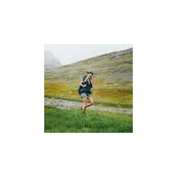 Fjällräven Abisko Midsummer Skort Women's Patina Green