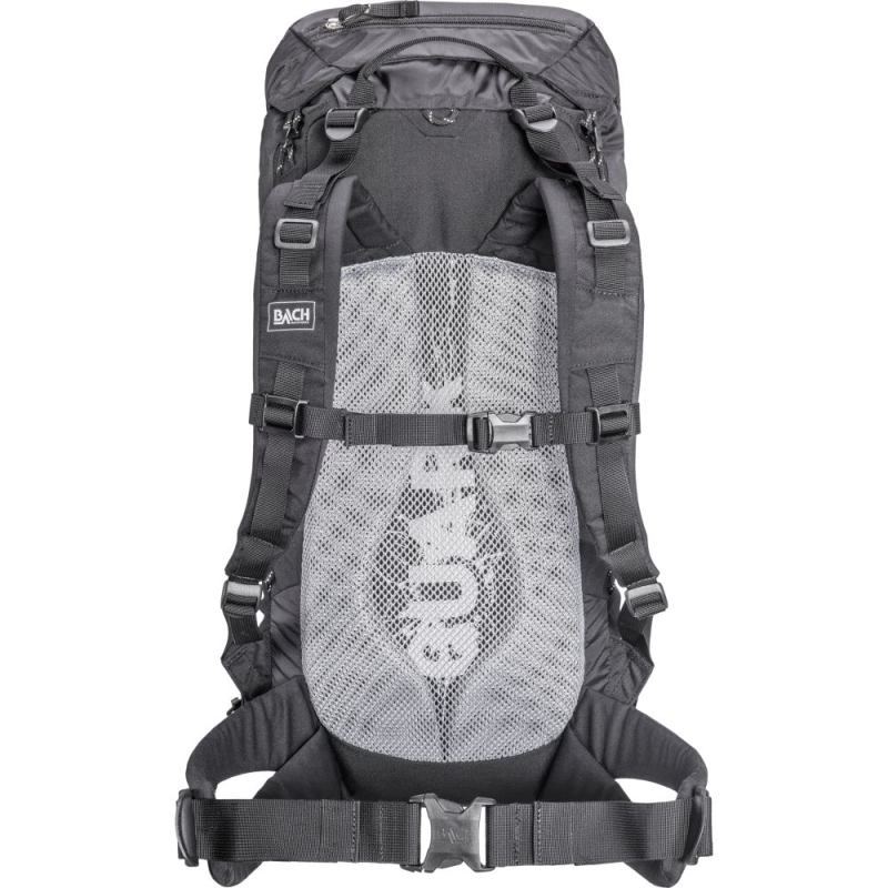 Bach Quark 30 Long Black