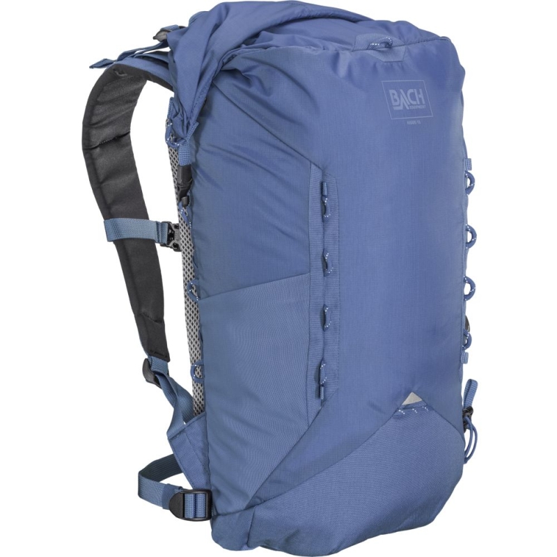 Bach Higgs 15 Rivera Blue