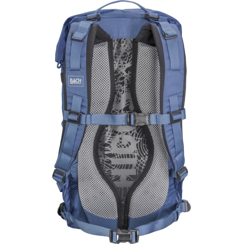 Bach Higgs 15 Rivera Blue