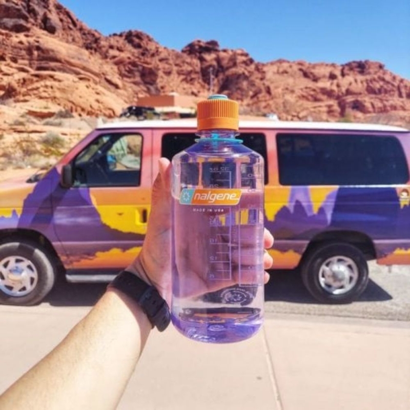 Nalgene Narrow-Mouth 1L Amethyst Sustain