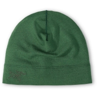 Arc'teryx Rho LTW Toque Eden