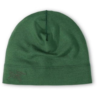 Arc'teryx Rho LTW Toque Eden