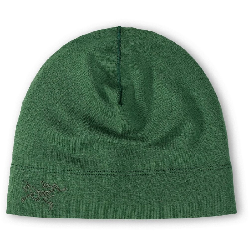Arc'teryx Rho LTW Toque Eden