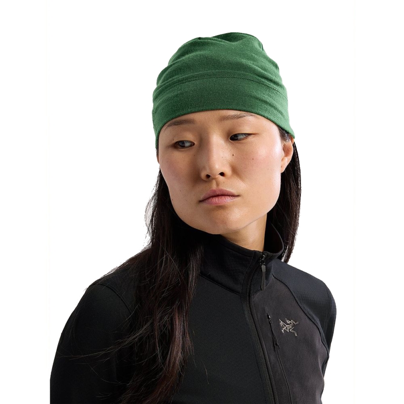 Arc'teryx Rho LTW Toque Eden