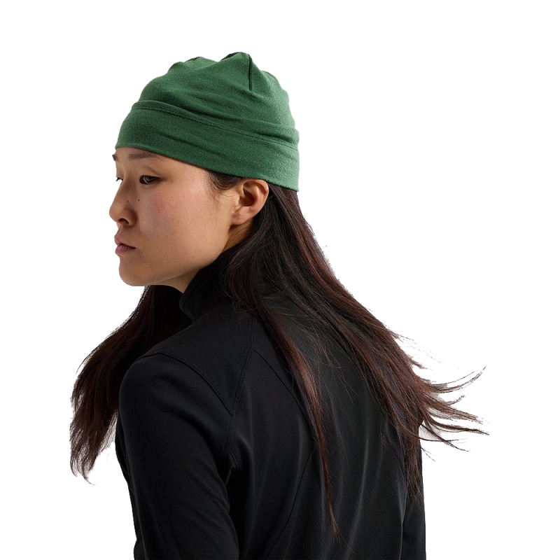 Arc'teryx Rho LTW Toque Eden