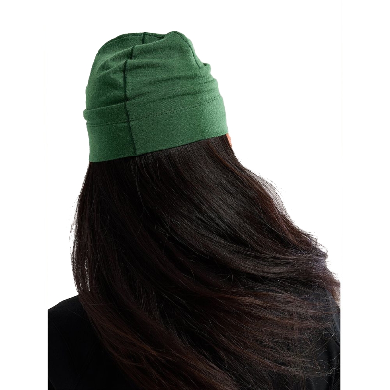 Arc'teryx Rho LTW Toque Eden