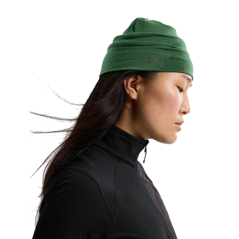 Arc'teryx Rho LTW Toque Eden