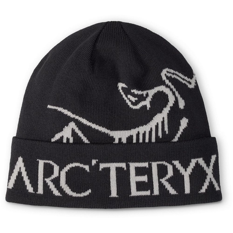 Arc'teryx Bird Word Toque Black / Void