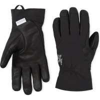 Arc'teryx Venta AR Glove Black