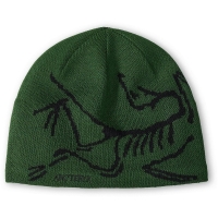 Arc'teryx Bird Head Toque Eden / Black