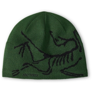 Arc'teryx Bird Head Toque Eden / Black