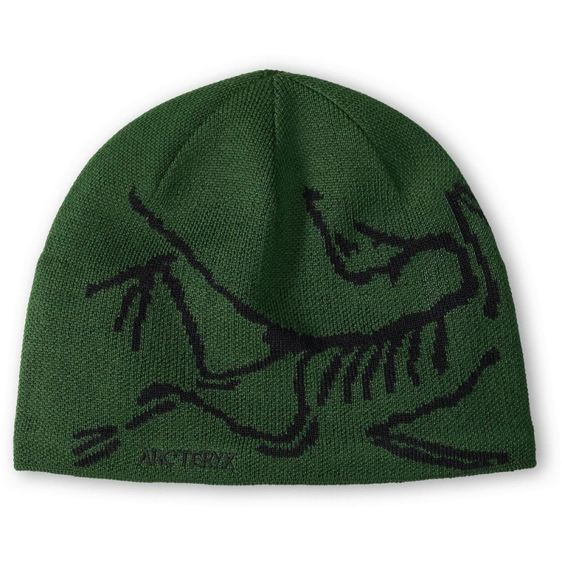 Arc'teryx Bird Head Toque Eden / Black