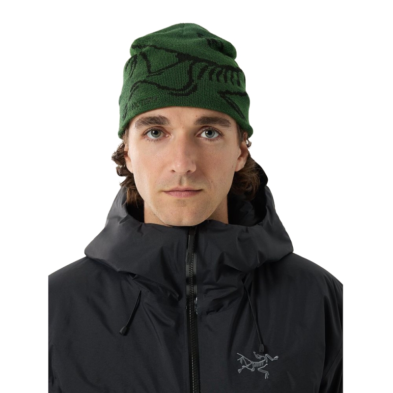 Arc'teryx Bird Head Toque Eden / Black