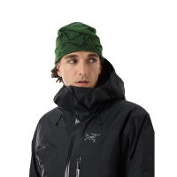 Arc'teryx Bird Head Toque Eden / Black
