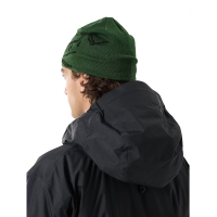 Arc'teryx Bird Head Toque Eden / Black